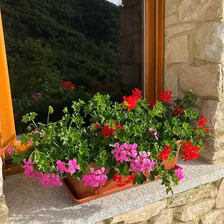 Ca' D' Giuanot Apartament